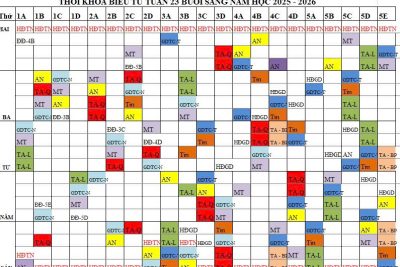 Thời khóa biểu từ tuần 23 Trường Tiểu học Đức Lý xã Nam Xang năm học 2025-2026