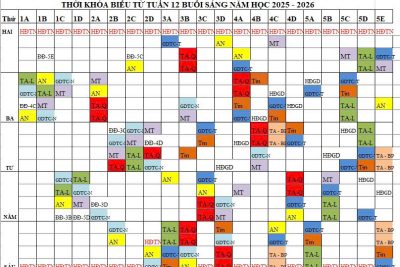 Thời khóa biểu từ tuần 12 Trường Tiểu học Đức Lý xã Nam Xang năm học 2025-2026